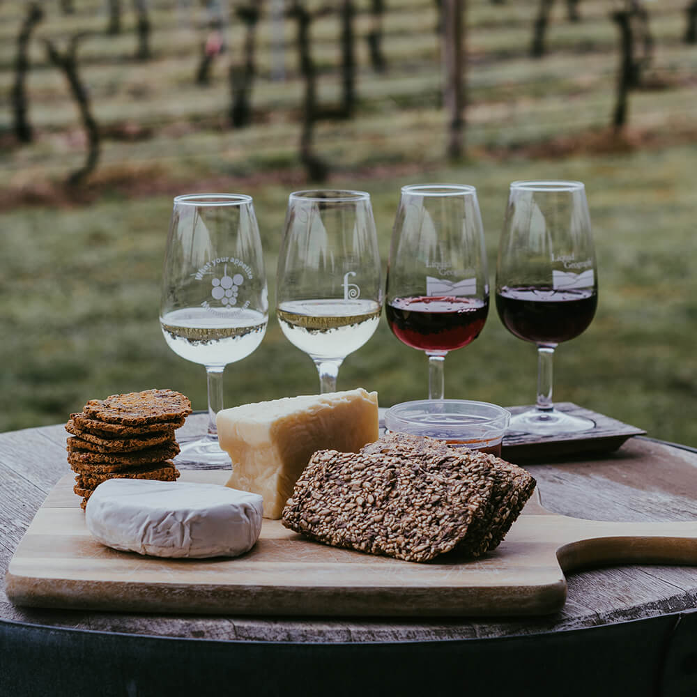 Catas virtuales vinos Festt